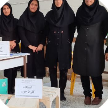 کارگاه دبیران کار و فناوری استان