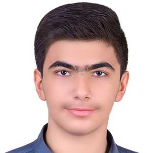 امیررضا  زارع زاده